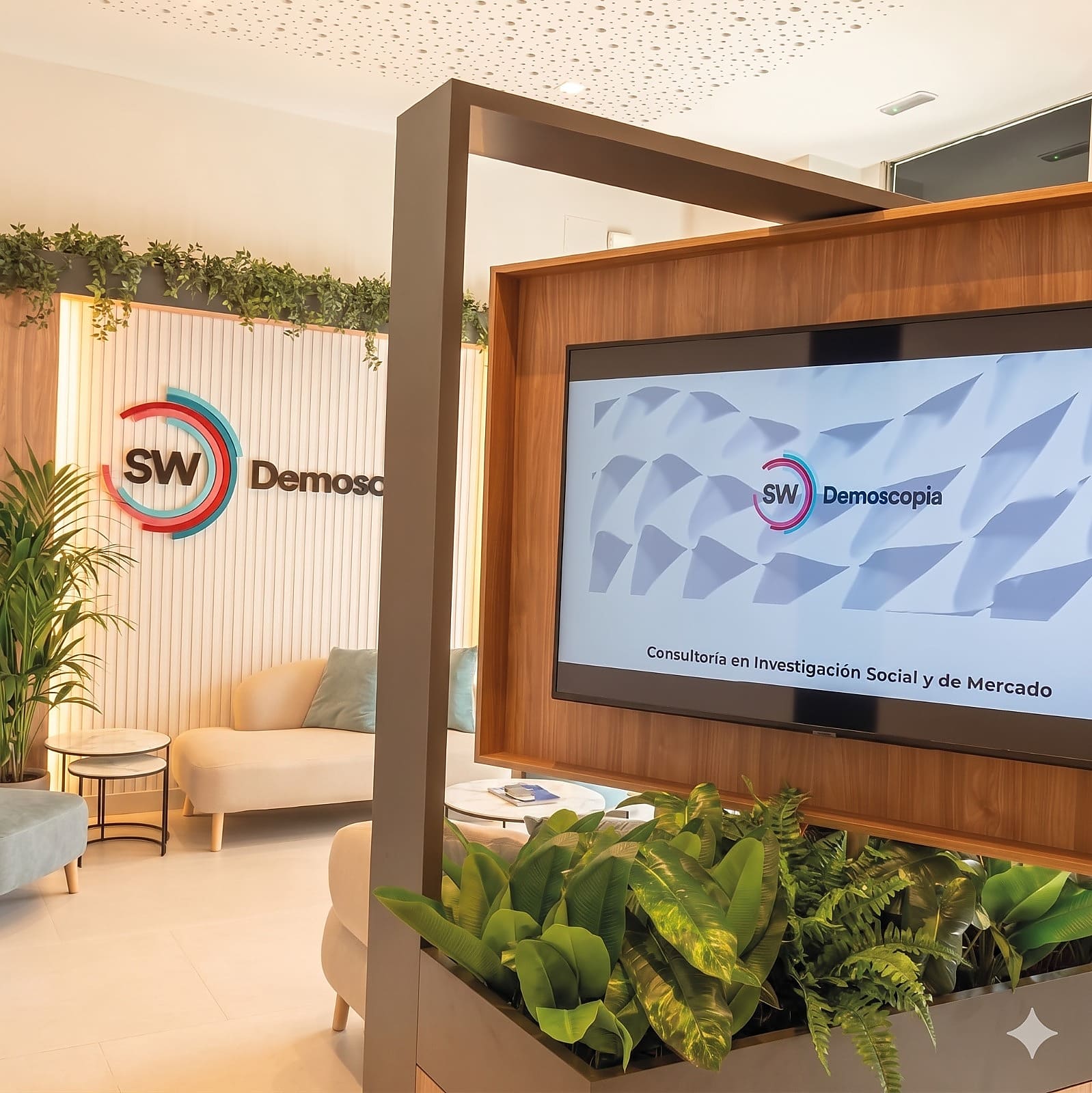 Recepción de SW Demoscopia con logo corporativo y pantalla de presentación